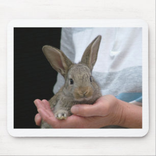 Mousepad coelho pequeno doce