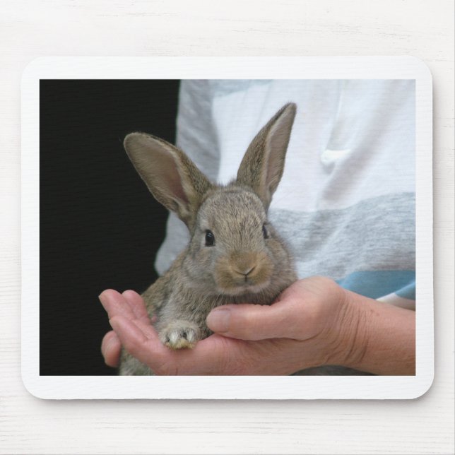 Mousepad coelho pequeno doce (Frente)