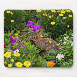 Mousepad Coelho selvagem no jardim da flor
