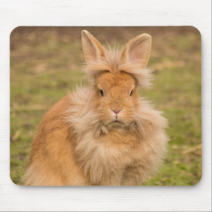 Mousepad Coelho Vermelho Fluffy