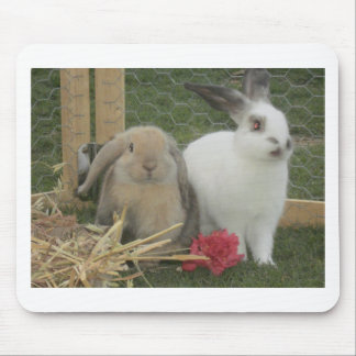 Mousepad Coelhos