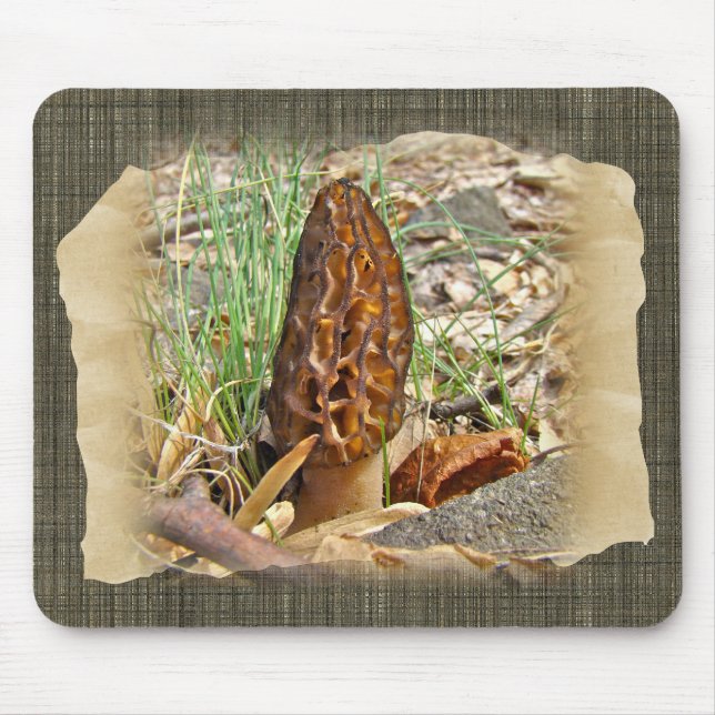 Mousepad Cogumelo do Morel (Frente)