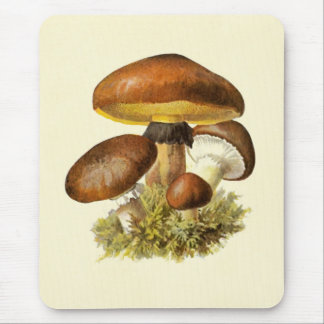 Mousepad Cogumelo do vintage de Brown