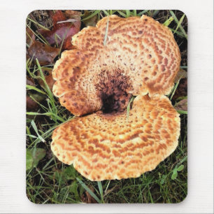 Mousepad Cogumelo na Floresta
