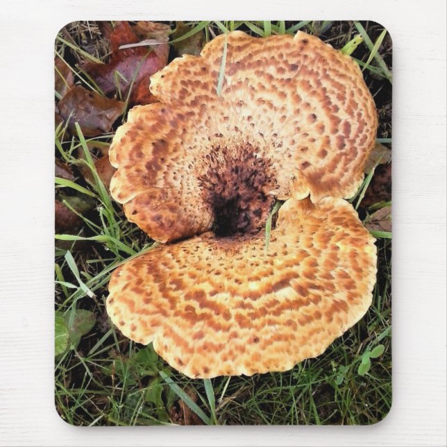 Mousepad Cogumelo na Floresta (Frente)