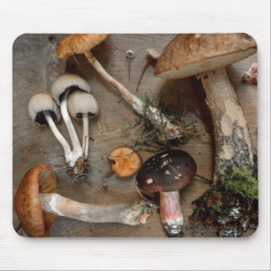 Mousepad Cogumelos Adoram Fungos