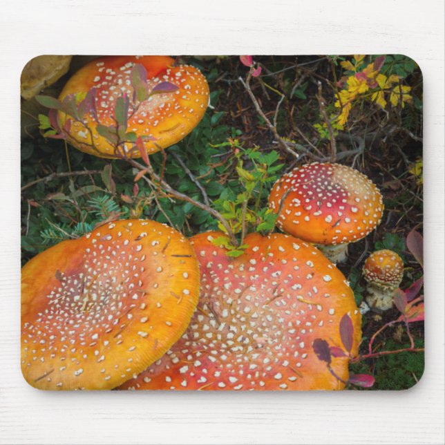 Mousepad Cogumelos agáricos voadores no Lago Mowich (Frente)