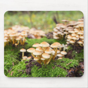 Mousepad Cogumelos amarelos na floresta do outono.