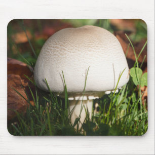 Mousepad Cogumelos de campo numa floresta
