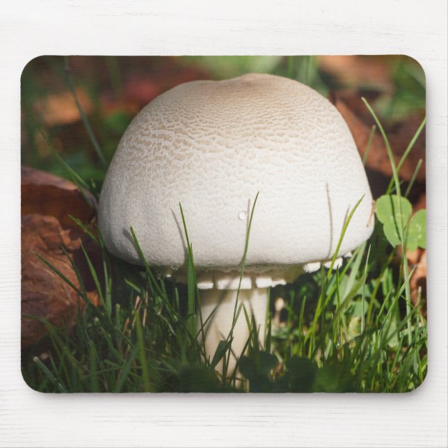 Mousepad Cogumelos de campo numa floresta (Frente)