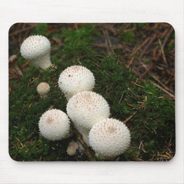 Mousepad Cogumelos do puffball do Lycoperdon (Frente)