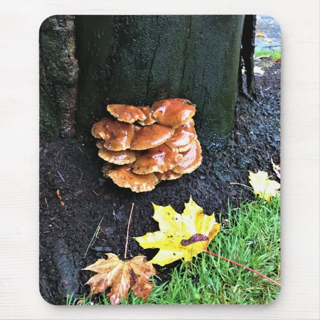 Mousepad Cogumelos em uma árvore, Oregon (Frente)