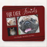 Mousepad Colagem de Fotos de Pet para Amigos para Sempre<br><div class="desc">O modelo do mouse colage de 3 fotos é fácil de usar. Todo texto pode ser facilmente alterado. Excelente para o amante de estimação em sua vida.</div>