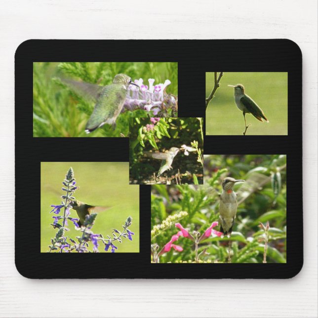 Mousepad Colagem do colibri (Frente)