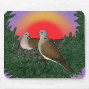 Mousepad Colchões de ninho