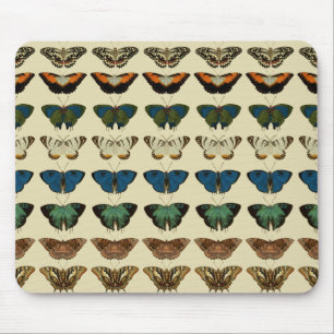 Mousepad Coleção da borboleta