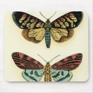 Mousepad Coleção de Borboletas por Chariklia Zarris