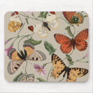 Mousepad Coleção de Desenhos de Mariposa Borboleta Natureza