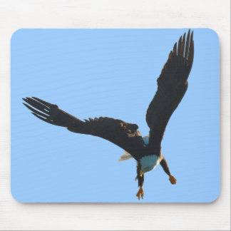 Mousepad Coleção de Voo da Águia Balda