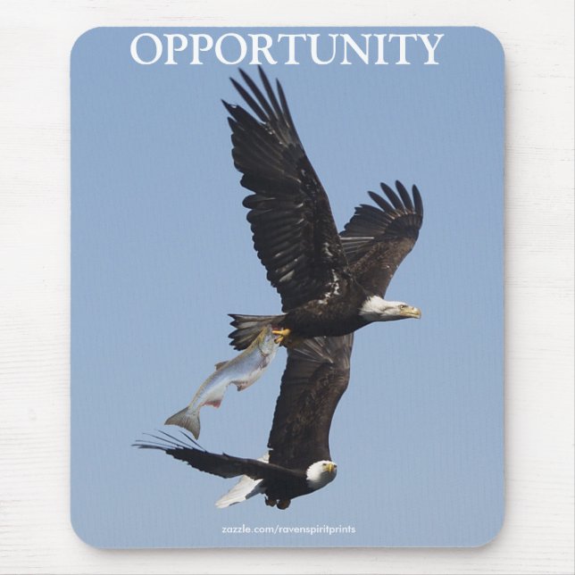 Mousepad Coleção legal de Selvagem de Águia Balda (Frente)