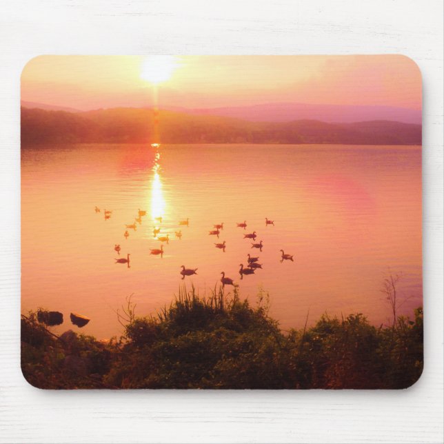 Mousepad Coletor solar rosa e pêssego (Frente)
