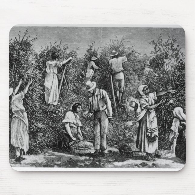 Mousepad Colheita do café (Frente)