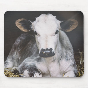 Mousepad Colheita ocupada do dia