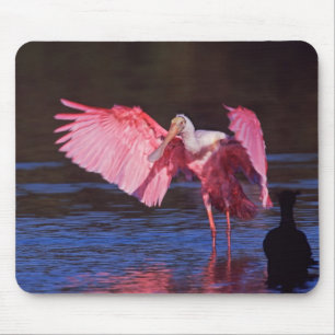 Mousepad Colhereiro com Cormorão