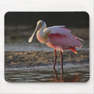 Mousepad Colhereiro-rosado, Ajaia ajaja, Ding Darling