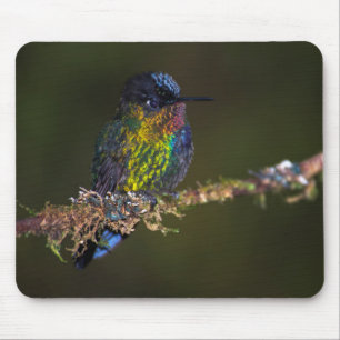 Mousepad Colibri