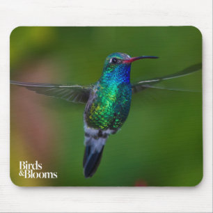 Mousepad Colibri de flutuação