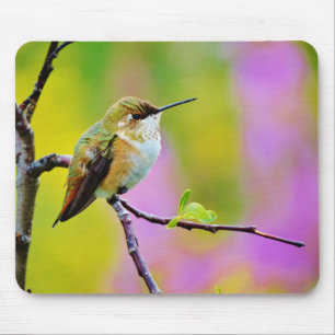 Mousepad Colibri pequeno gordo