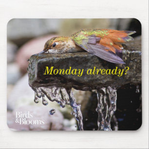 Mousepad Colibri que coloca na água 2