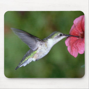 Mousepad colibri Rubi-throated (fêmea) com petúnia