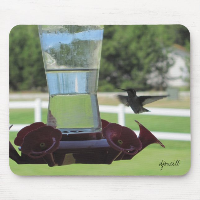 Mousepad Colibri sedento e alimentador (Frente)