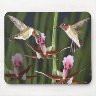 Mousepad Colibris e flores