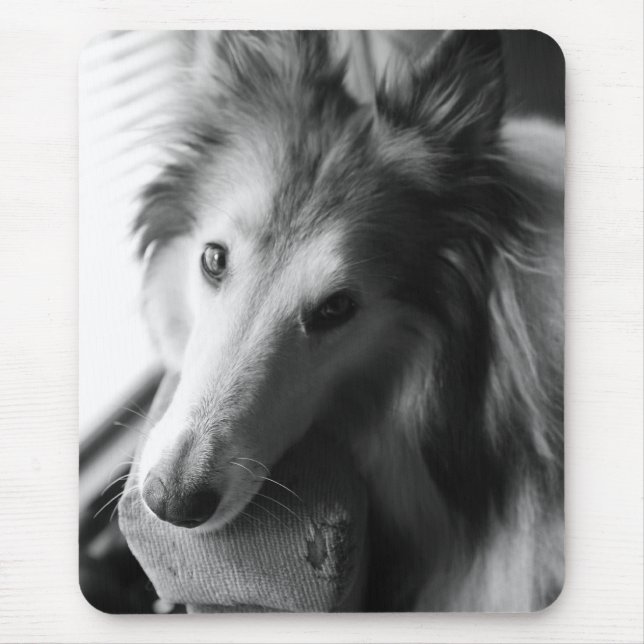 Mousepad Collie (Frente)