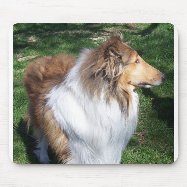MOUSEPAD COLLIE (Frente)