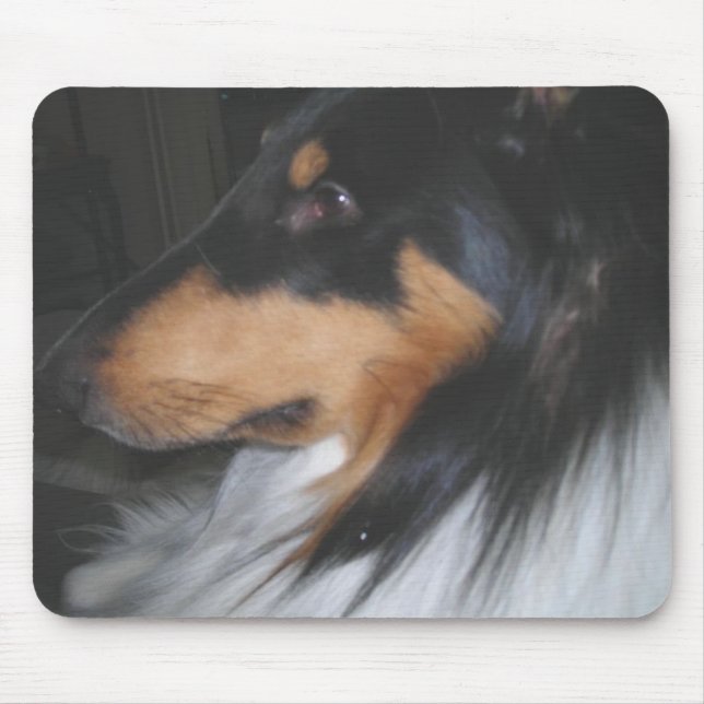 Mousepad Collie de três cores no pensamento profundo (Frente)