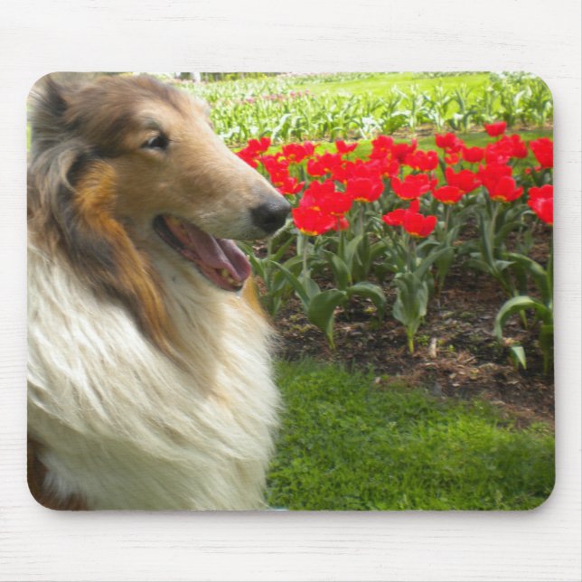 Mousepad Collie na proteção do mouse Tulips (Frente)