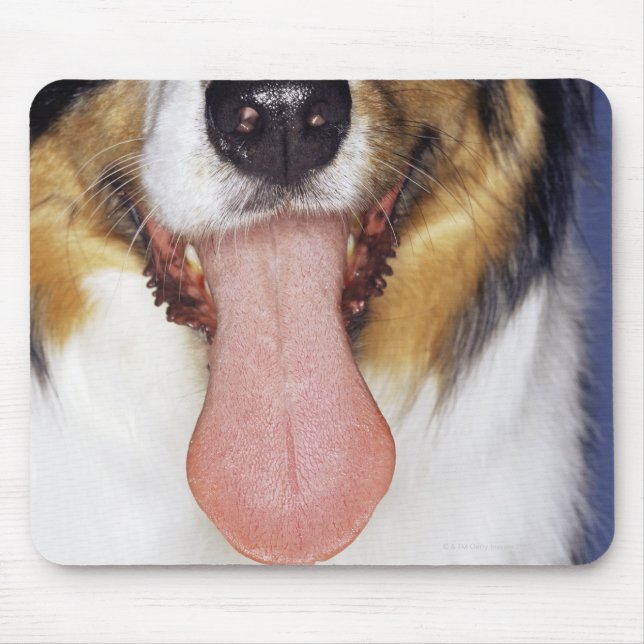 Mousepad Collie perambulando língua (Frente)