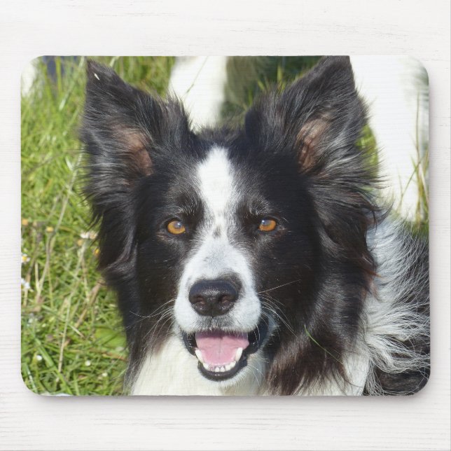 Mousepad Collie Preto e Branco (Frente)