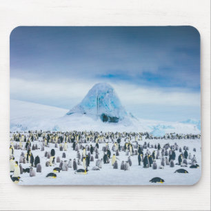 Mousepad Colônia do pinguim de imperador