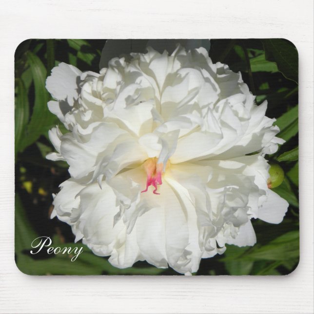 Mousepad colônia fecha Paeonia lactiflora (Frente)