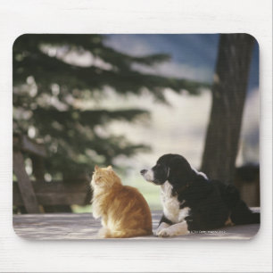 Mousepad Colorado ocidental, EUA