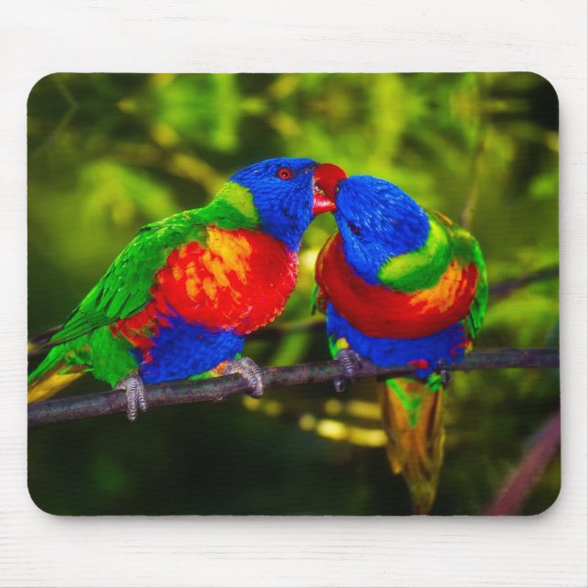 Mousepad Colorful Couple of Kissing Parrots (Frente)