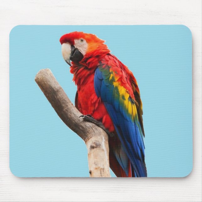 Mousepad Colorful Parrot Portrait Photo (Frente)