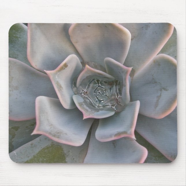 Mousepad Colorido Suculente #1 (Frente)