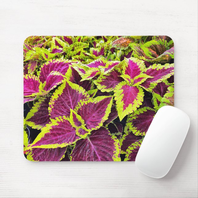 Mousepad Colorir Folhas Coletivas (Com mouse)