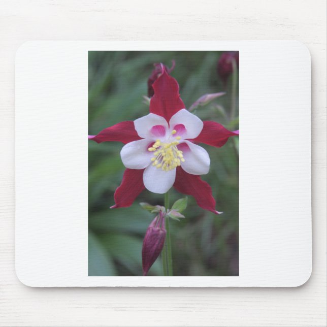 Mousepad Columbina (Frente)